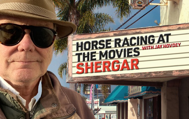‘Shergar, Shergar, where are you?’ When one of racing’s most disturbing mysteries hit the silver screen