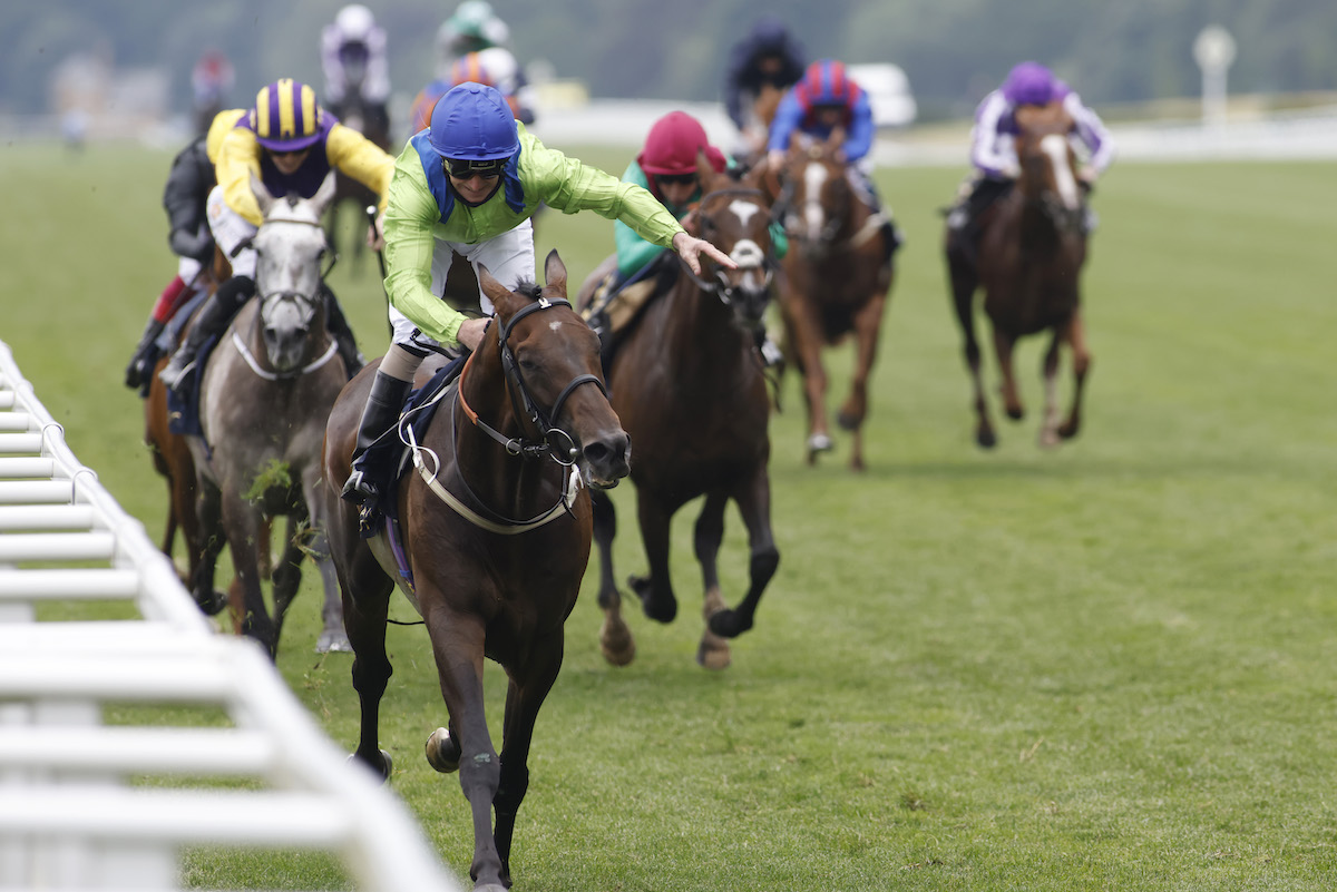 Ascot hero: Subjectivist and Joe Fanning win the Gold Cup in 2021. Photo: Dan Abraham / focusonracing.com