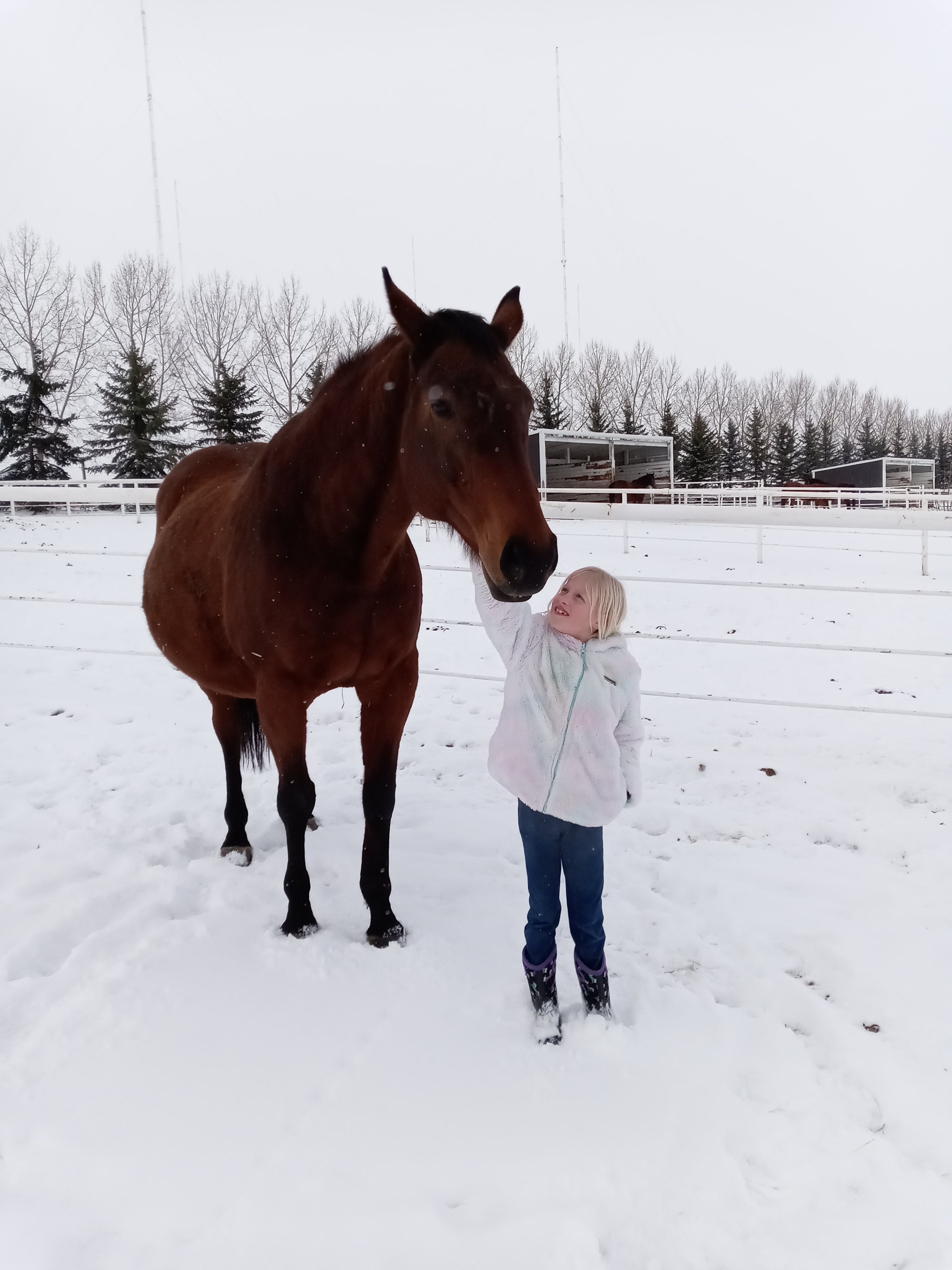 Snow therapy with Crimson Deed. Photo: Dr. Brenda E. Abbey