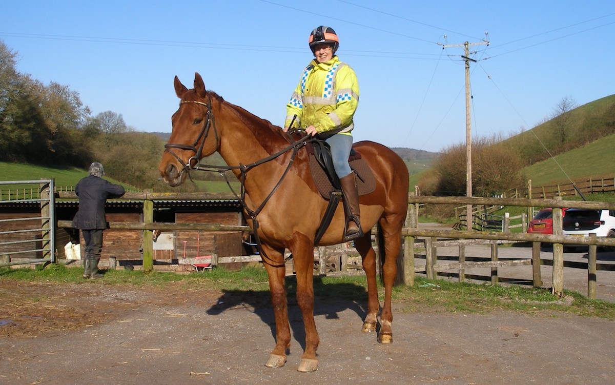 Aureate: thriving as a ‘happy hacker’ in the Quantocks, pictured here with riding club secretary Marion Nieuwenhuizen. Photo supplied