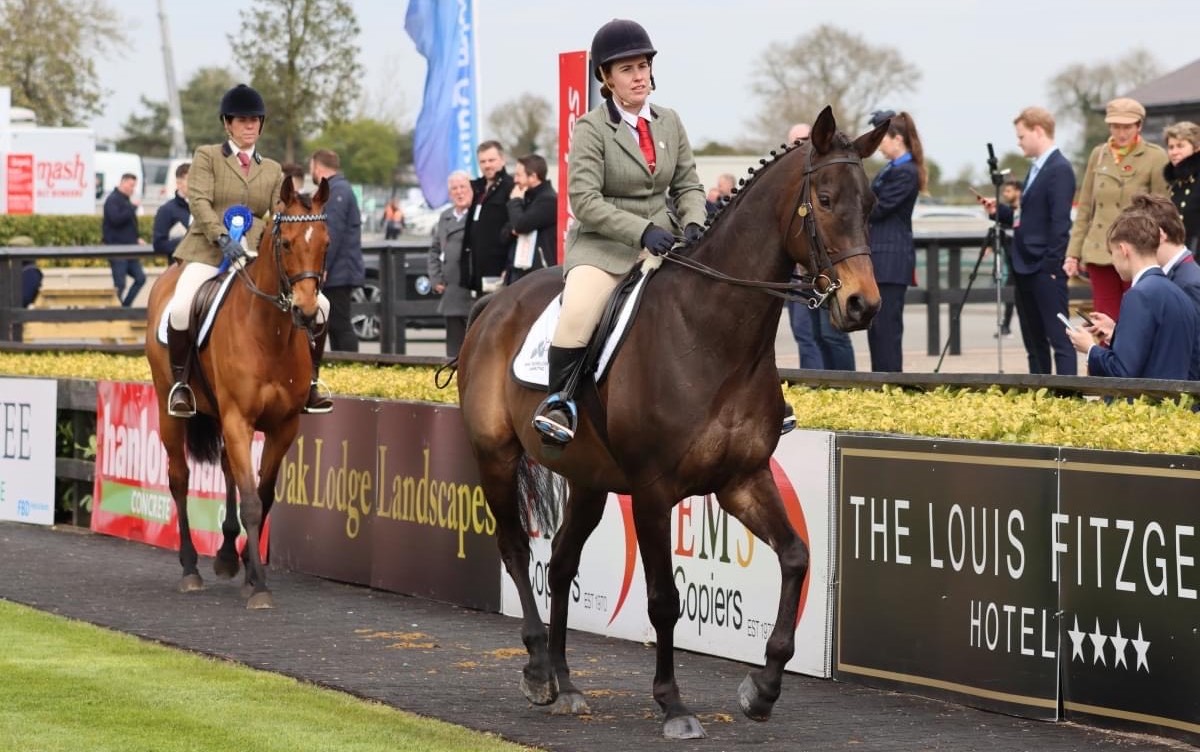 Briar Hill: teacher and show horse at Grennan Equestrian College in county Kilkenny. Photo supplied