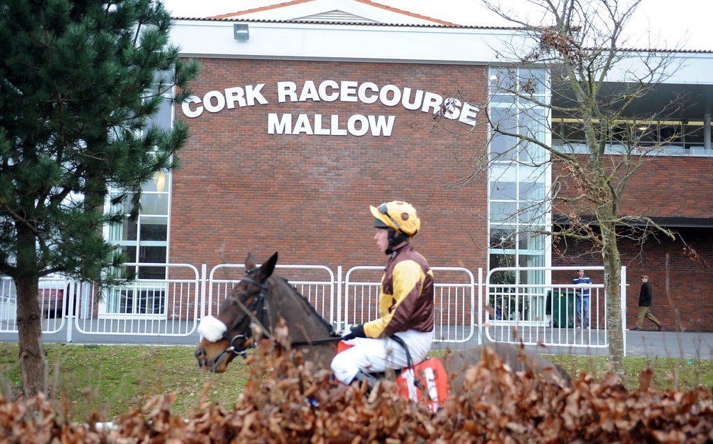 Racecourse formerly known as Mallow holds a special place in the affections of Tadhg O’Shea. Photo: AIR