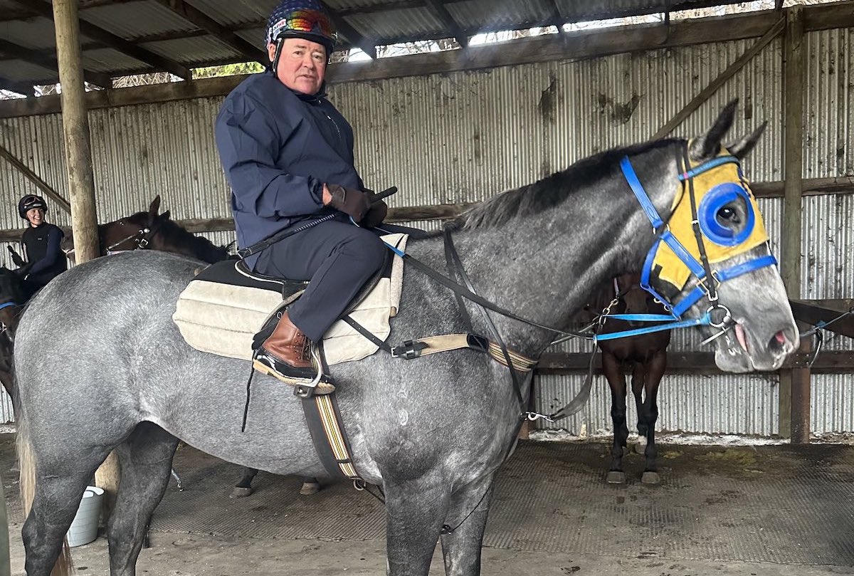 Back in the saddle: Brent Thomson is riding out for trainer Ciaron Maher