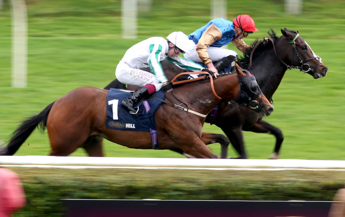 Listed success: Ballymount Boy (far side) wins the William Hill Prospect Stakes under James Doyle. Photo: Dan Abraham / focusonracing.com