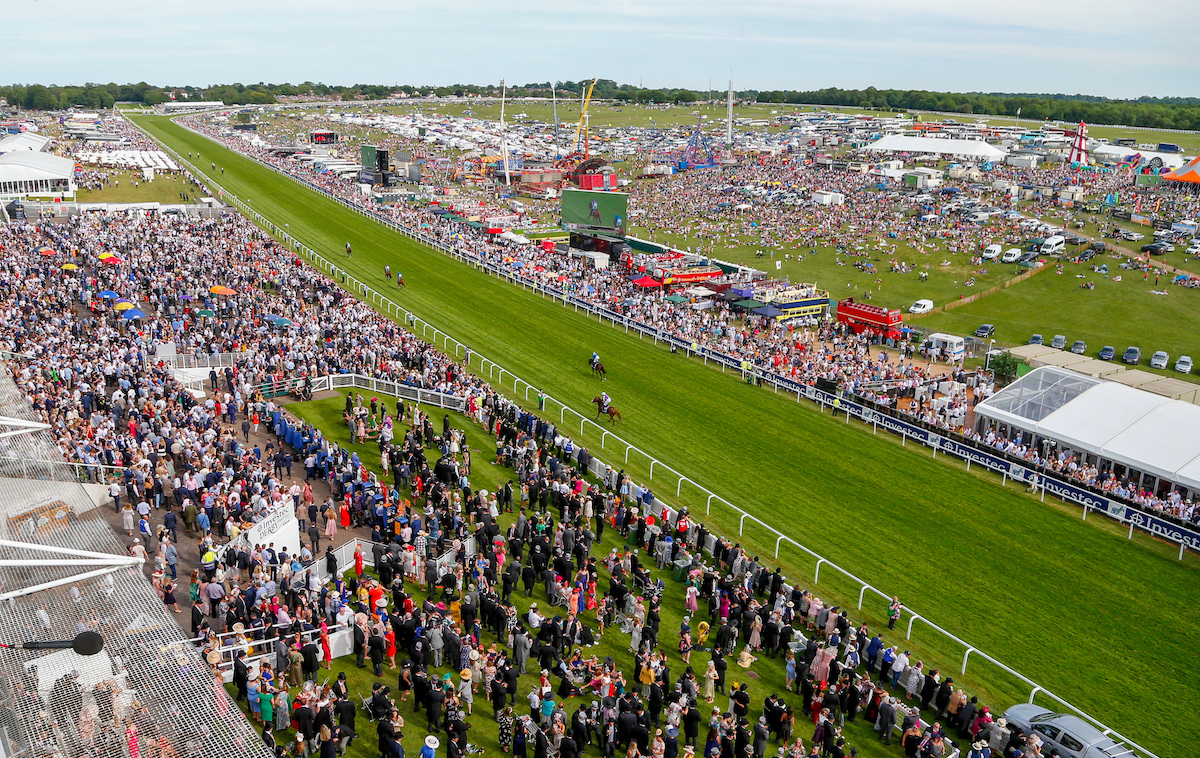 Natural amphitheatre: Derby runners going to post at Epsom. Photo: Dan Abraham / focusonracing.com