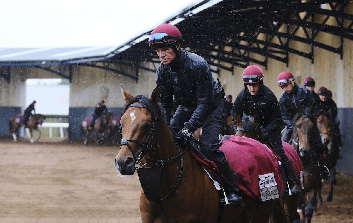 City Of Troy (Dean Gallagher) at Ballydoyle this week. Photo: John Hoy / Jockey Club