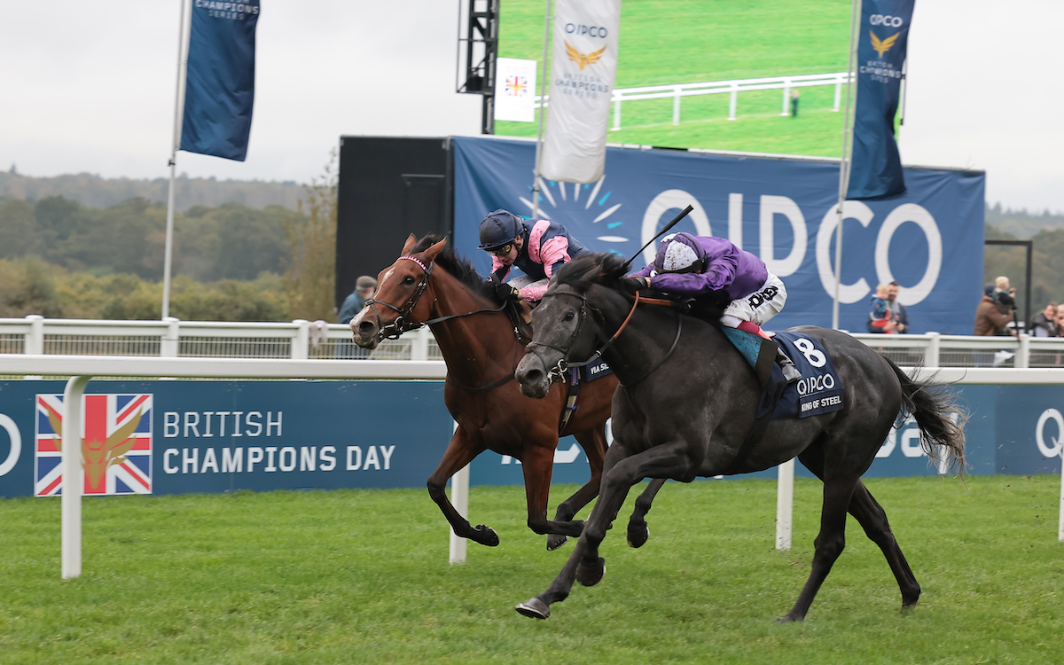 King Of Steel (Frankie Dettori) wins the Qipco Champion Stakes. Photo: Mark Cranham / focusonracing.com