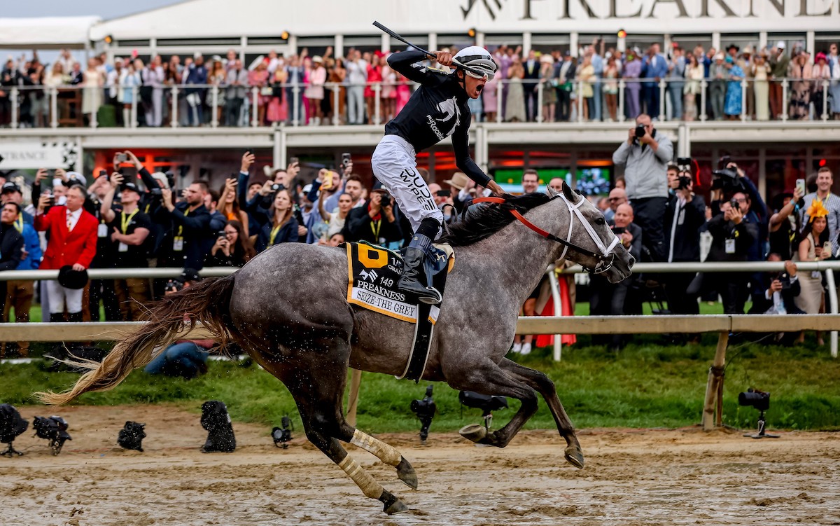 Young protégé: Jaime Torres celebrates victory on Seize The Grey in the 149th Preakness. Photo: Maryland Jockey Club