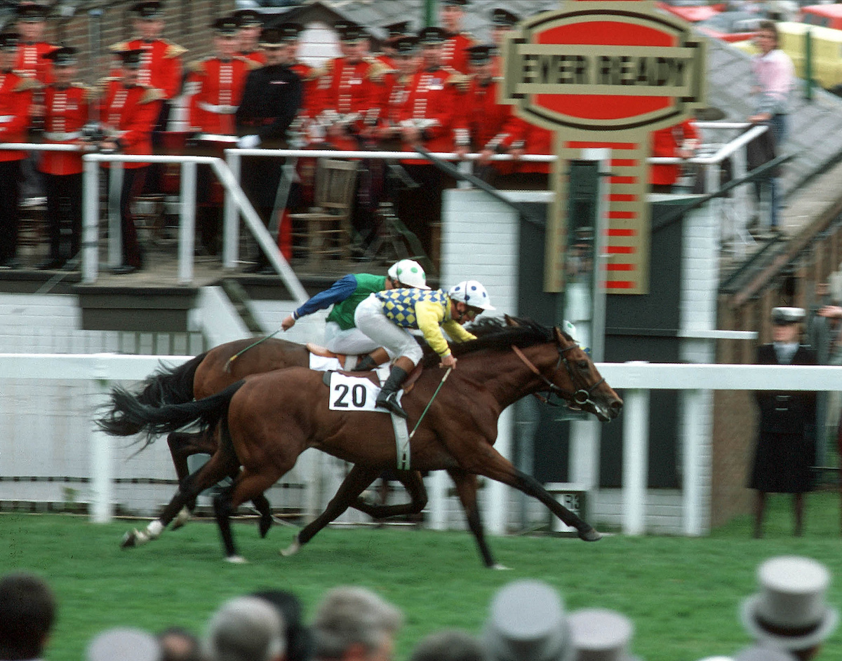 Shock result: Secreto (Christy Roche, near side) touches off El Gran Senor in one of the most memorable Derby finishes there’s ever been. Photo: Cranham / focusonracing.com