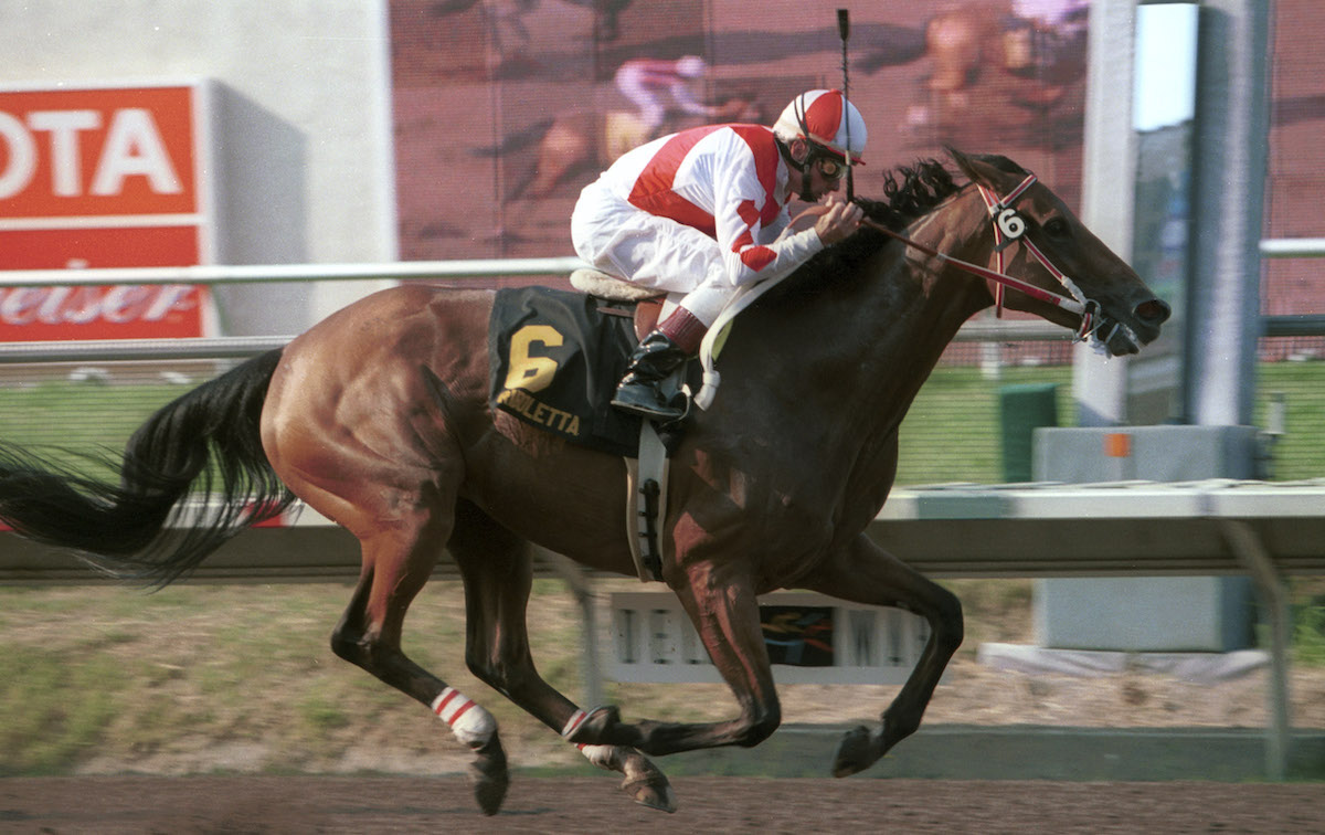 The Clement L. Hirsch Handicap at Del Mar fell easily to Riboletta under 125 pounds. Photo: Benoit