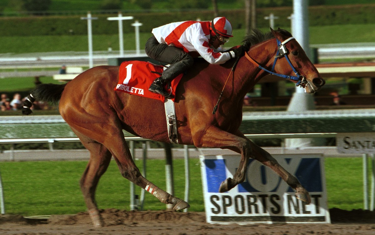 With Corey Nakatani aboard, Riboletta scores her first US stakes prize in the Santa Margarita Handicap. Photo: Benoit