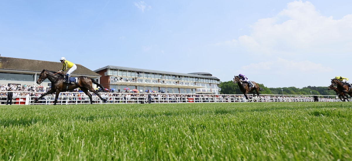 Wide-angle winner: Ambiente Friendly comes home 4½ lengths clear to win the Lingfield Derby Trial. Photo: Dan Abraham / focusonracing.com