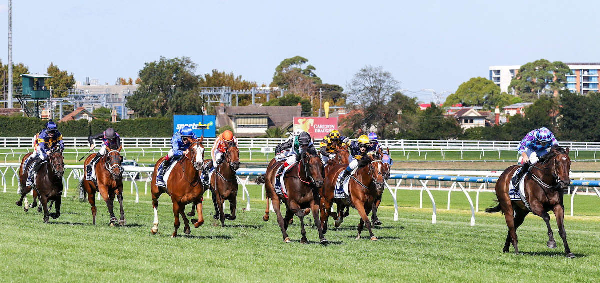 Pride Of Jenni gaps the field in the All-Star Mile at Caulfield. ‘I’ve never been as confident,’ says trainer Ciaron Maher. Photo: NZ Racing News / Bruno Canatelli