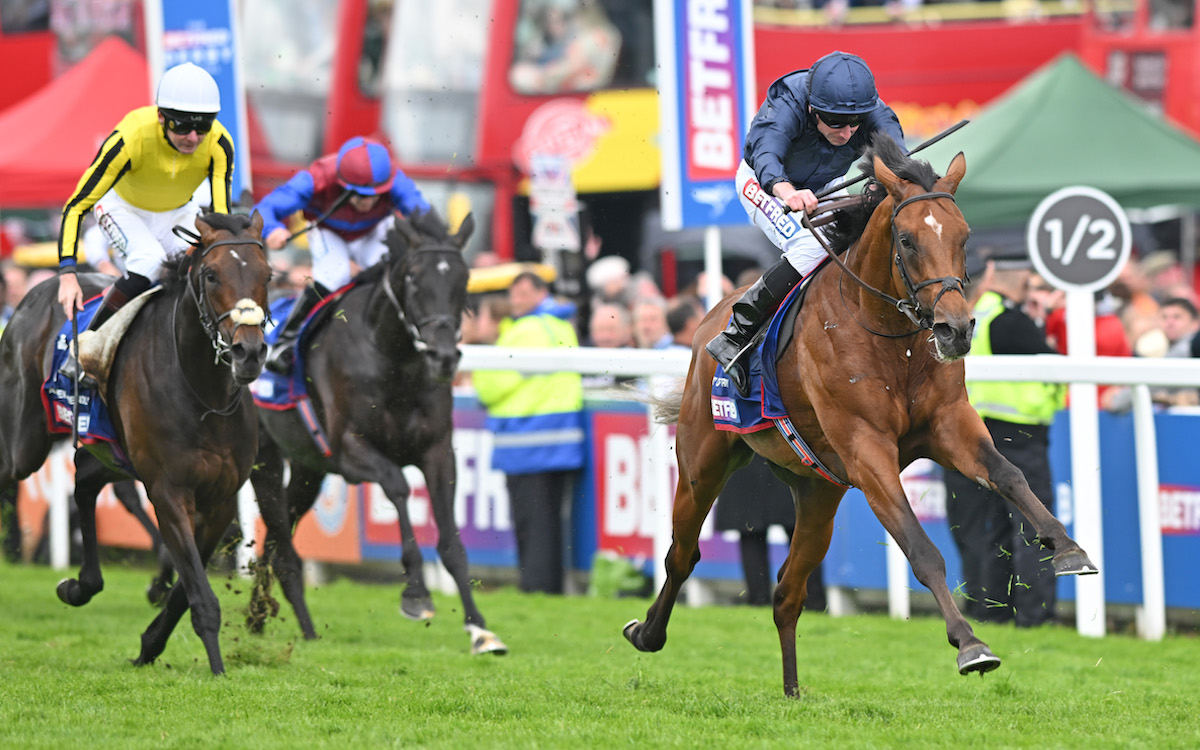 City Of Troy asserts in the closing stages to beat Ambiente Friendly (yellow silks) at Epsom. Photo: Francesca Altoft / focusonracing.com