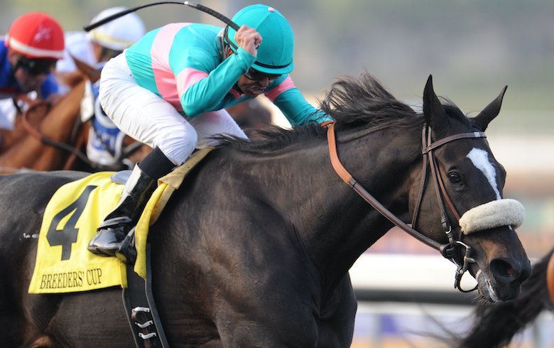 Favorite horse: Zenyatta (Mike Smith) wins Breeders' Cup Classic at Santa Anita in 2009. Photo: Breeders' Cup/Eclipse Sportswire (Mark Wyville)