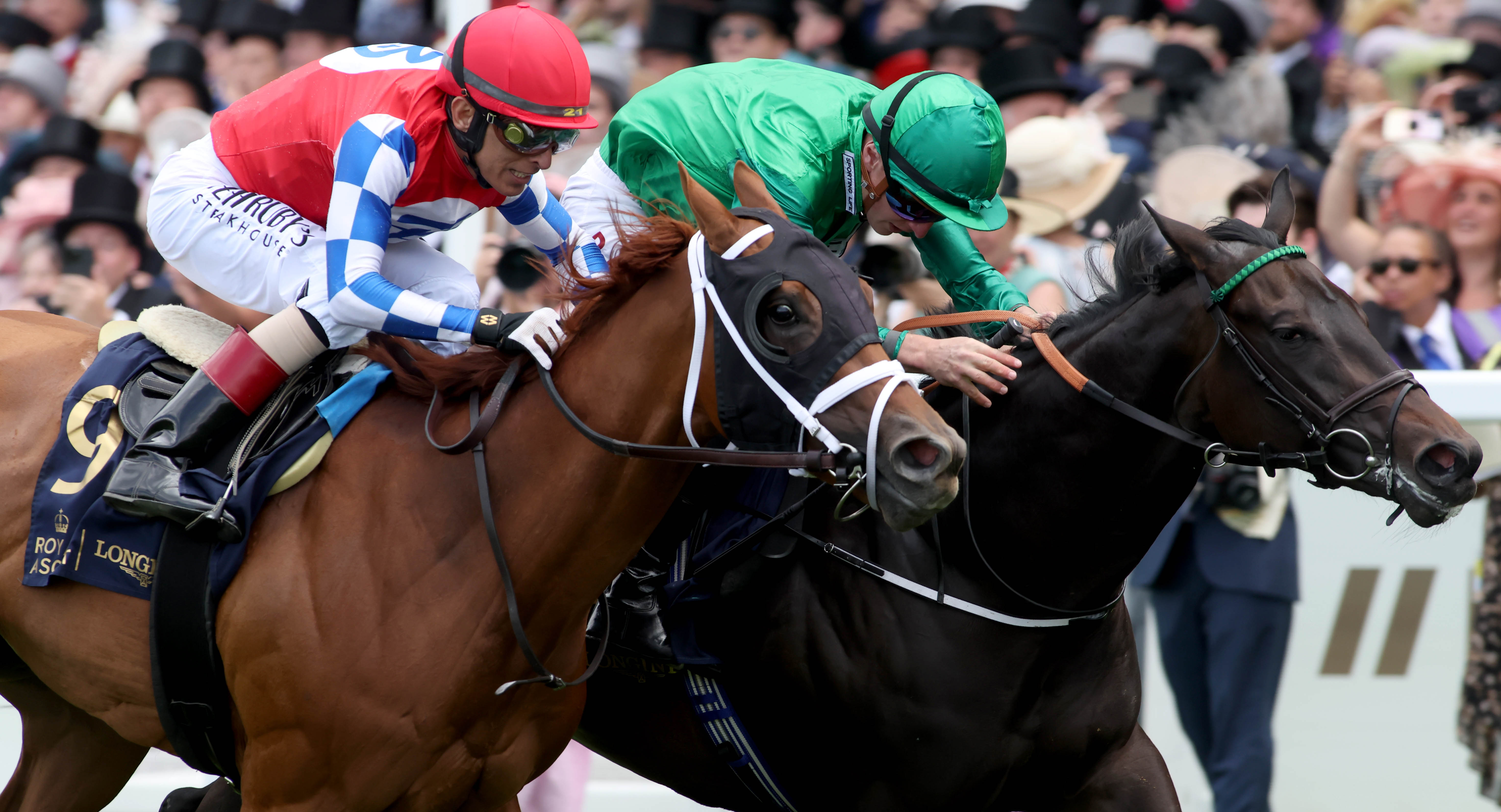 Crimson Advocate (near side) touches off Relief Rally at Royal Ascot in 2023. Photo: Dan Abraham / focusonracing.com