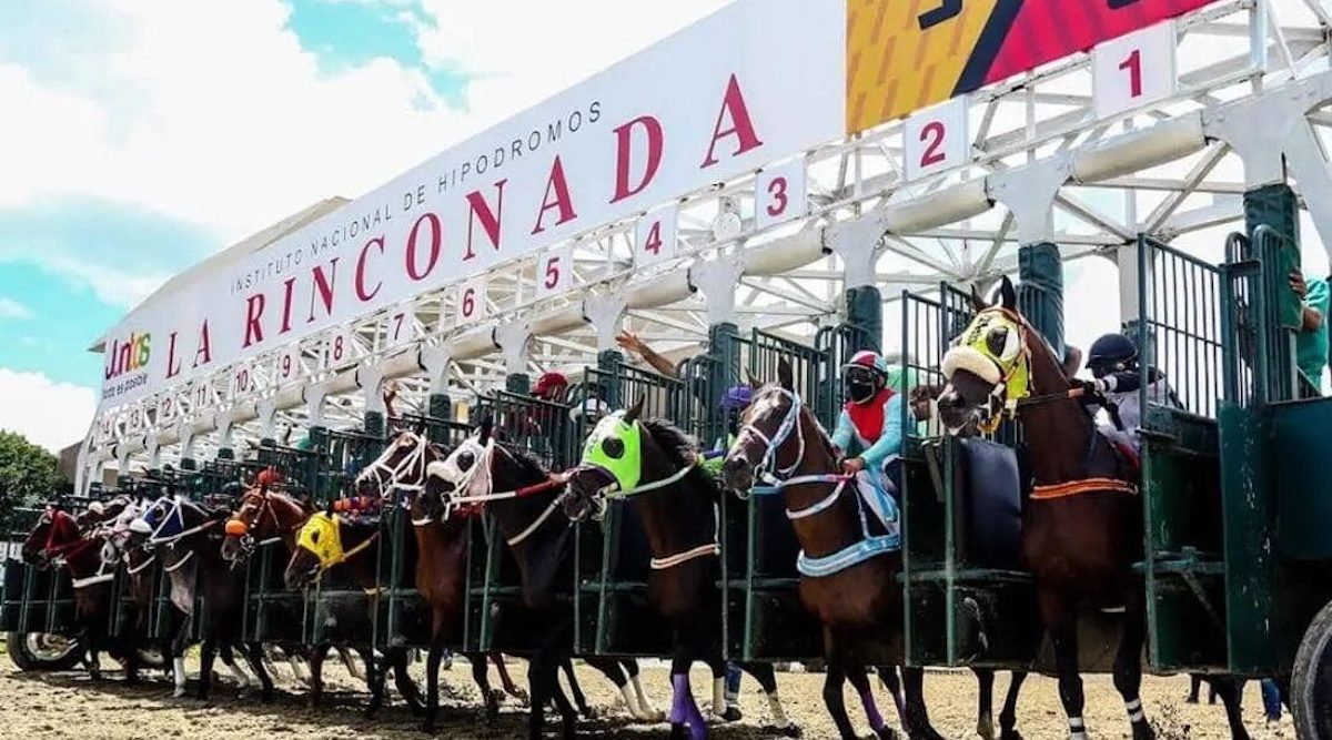 They’re off at the Hipodromo La Rinconada in Caracas, the premier racetrack in Venezuela