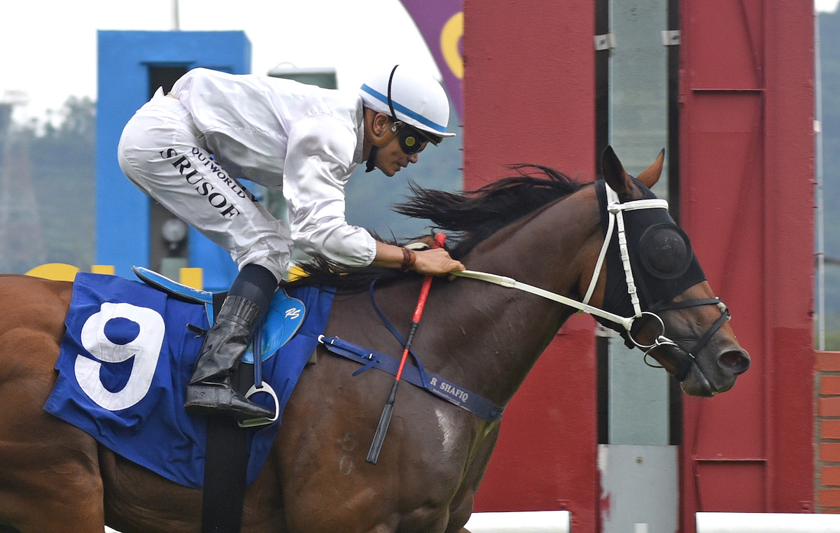 Stable star Antipodean takes his winning run to five with an odds-oin success under jockey Rizuan Shafiq. Photo: Selangor Turf Club