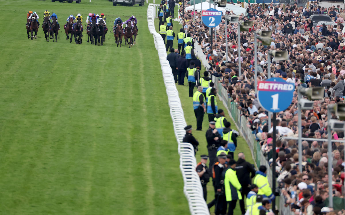 City Of Troy (Ryan Moore, dark blue silks) hits the front in the Epsom straight. Photo: Dan Abraham / focusonracing.com