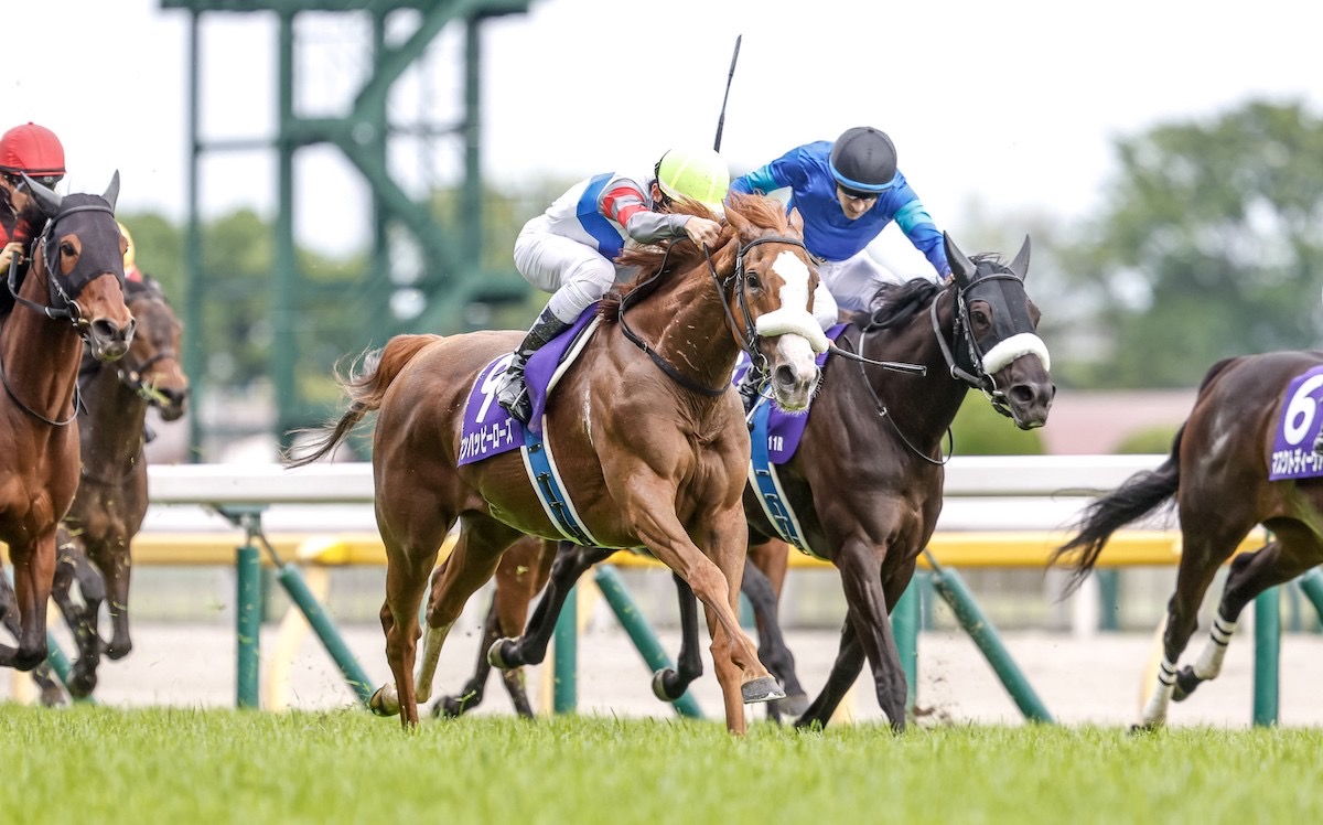 Ten Happy Rose (Akihide Tsumura, near side) lands 209-1 success in Victoria Mile. Photo: Yuki Shimono