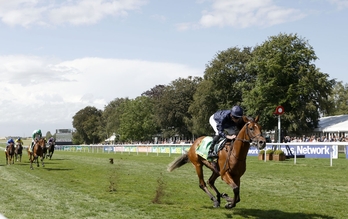 Top two-year-old: City Of Troy slams his rivals in the G2 Superlative Stakes at Newmarket. Photo: Dan Abraham / focusonracing.com