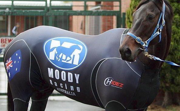 Black Caviar’s compression suit: ‘No bastard could see how rough she looked!’ says Peter Moody