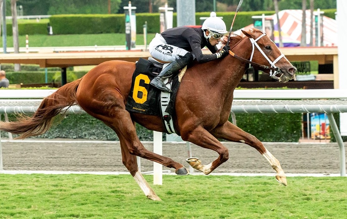 Grass is no problem for the son of Vronsky, as displayed in the 2022 California Flag Stakes. (Benoit Photo)