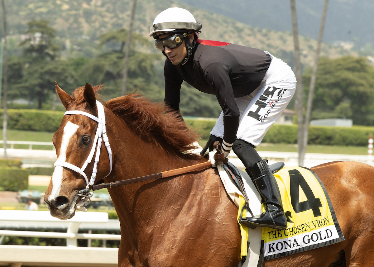 The Chosen Vron and regular partner Hector Berrios return spotless from a joyous romp in the Kona Gold Stakes. (Benoit Photo)