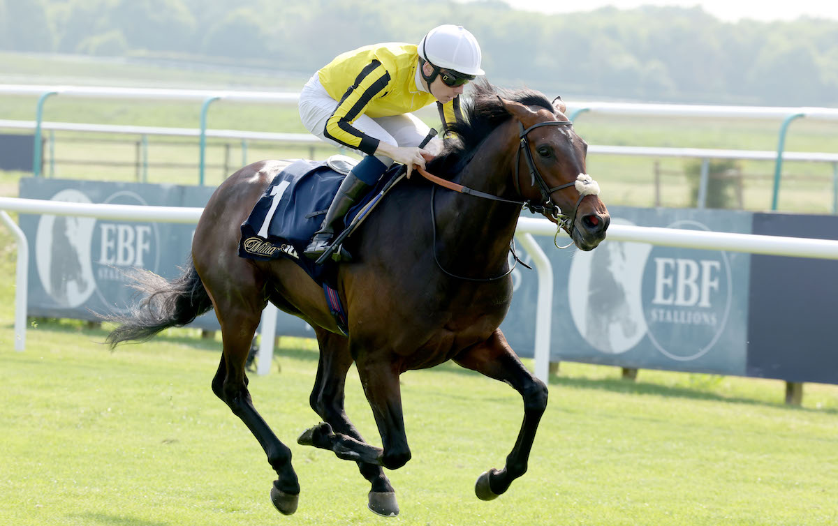 Ambiente Friendly: supplemented to Irish Derby at a cost of €100,000. Photo: Dan Abraham / focusonracing.com