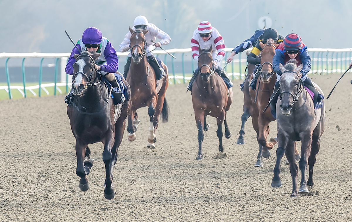 All-weather success: Tyler Heard scores on Princess In Rome (left) at Lingfield Park. Photo: Mark Cranham / focusonracing.com