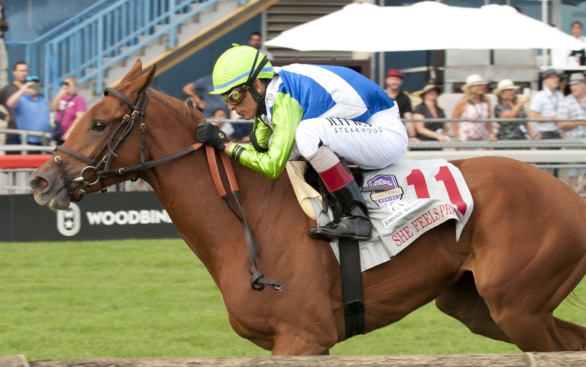 Grade 1 breakthrough: She Feels Pretty wins the Natalma Stakes under John Velazquez to give Cherie DeVaux her first top-level win as a trainer. Photo: Michael Burns / Woodbine