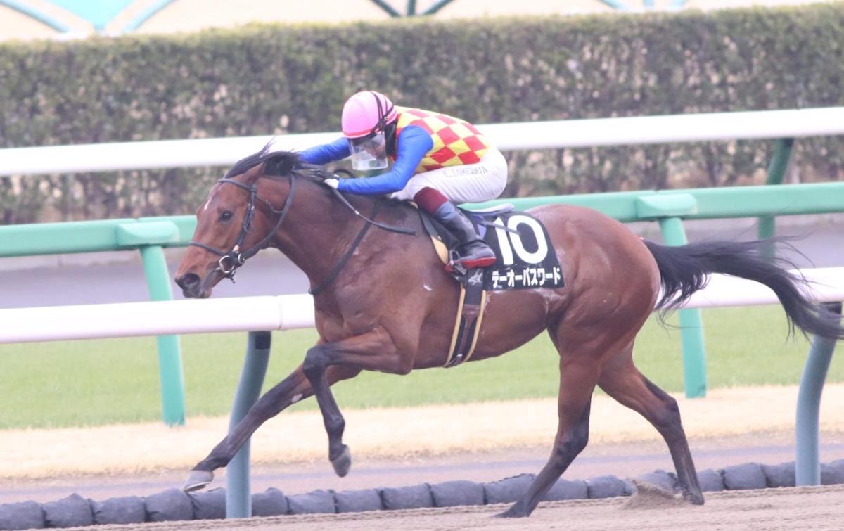 T O Password: leading Japanese dirt horse has undergone bone chip surgery. Photo: netkeiba