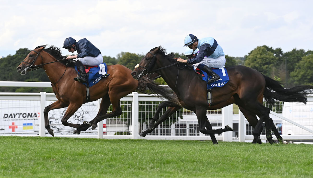 Hard-fought success: City Of Troy (Ryan Moore) holds off Al Riffa at Sandown. Photo: Dan Abraham / focusonracing.com