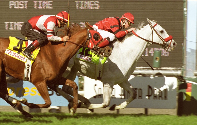 The talented A To The Z gives chase but can't catch Star Over The Bay in the Sunshine Millions Turf. (Benoit photo)