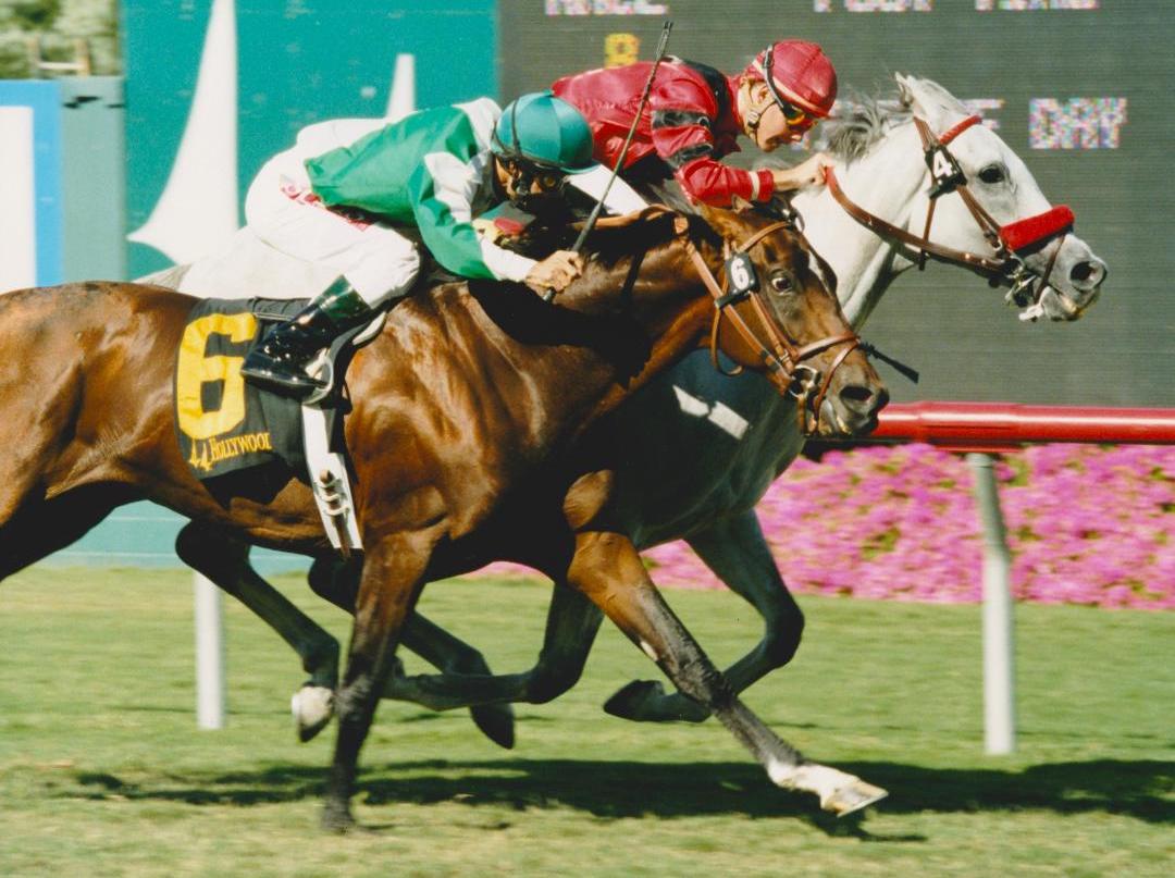 Star Over The Bay shocks favored Continuously for his first big score in the Sunset Handicap. (Benoit photo)