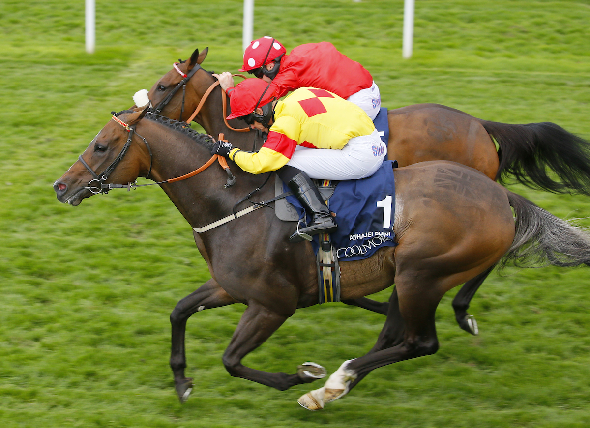 Alpha Delphini (Graham Lee, near side) touches off Mabs Cross to win the Coolmore Nunthorpe Stakes at York in 2018. Photo: Mark Cranham / focusonracing.com