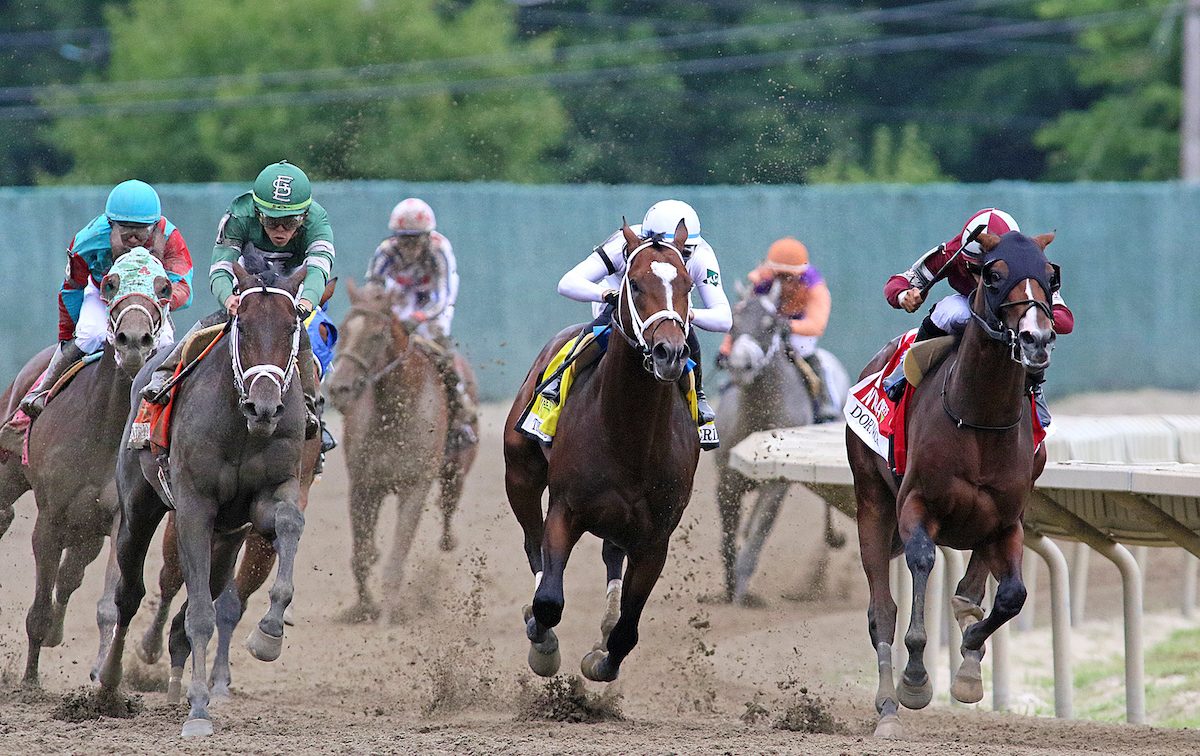 Dornoch (Luis Saez, right) leads the Haskell field into the stretch at Monmouth Park. Photo: Mark Wyville / EQUI-PHOTO