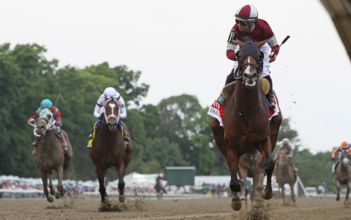 Top of the class: Dornoch wins the Haskell under Luis Saez. Photo: Bill Denver / EQUI-PHOTO