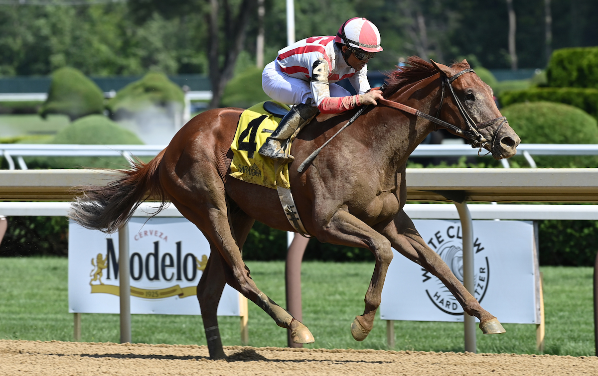 Incentive Pay: G1 ambitions after 2½-length debut win under Joel Rosario. Photo: NYRA / Coglianese