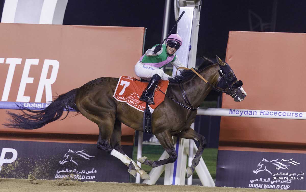 Tadhg O'Shea celebrates as Laurel River adds his name to the Dubai World Cup honour roll. Photo: Dubai Racing Club/Liesl King