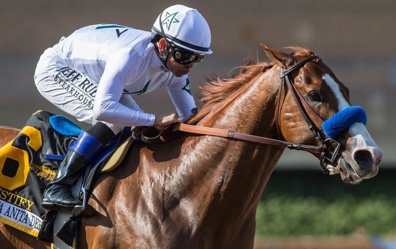 Justify: Hall of Fame inductee. Photo: Benoit