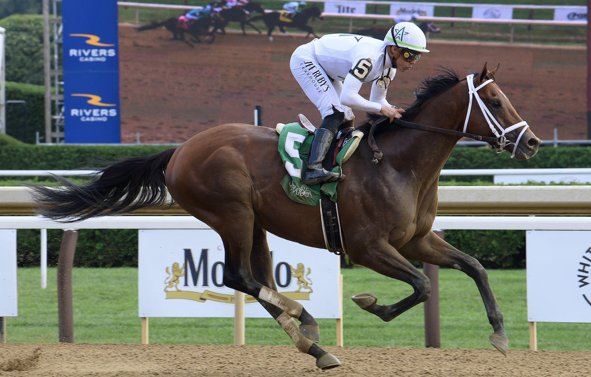 Speak Easy: unbeaten in two. Photo: NYRA / Coglianese