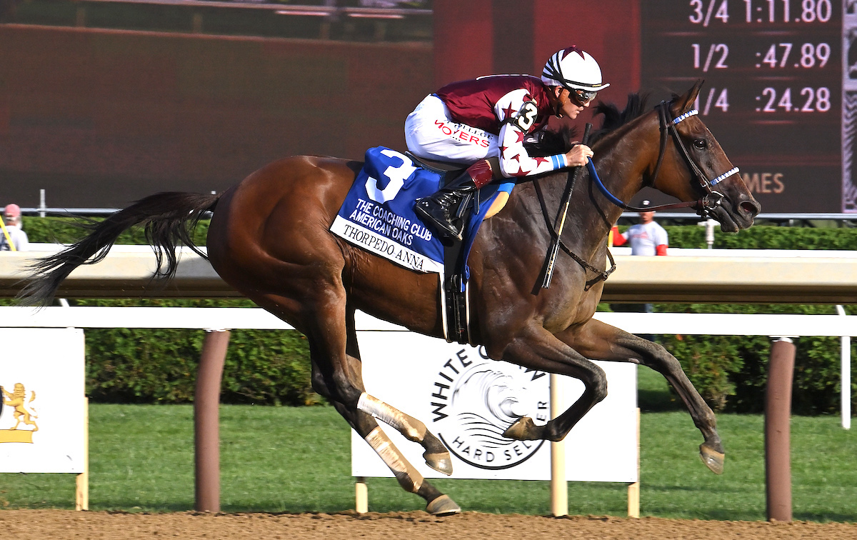 Thorpedo Anna: set for Travers Stakes showdown. Photo: NYRA / Susie Raisher (Coglianese)