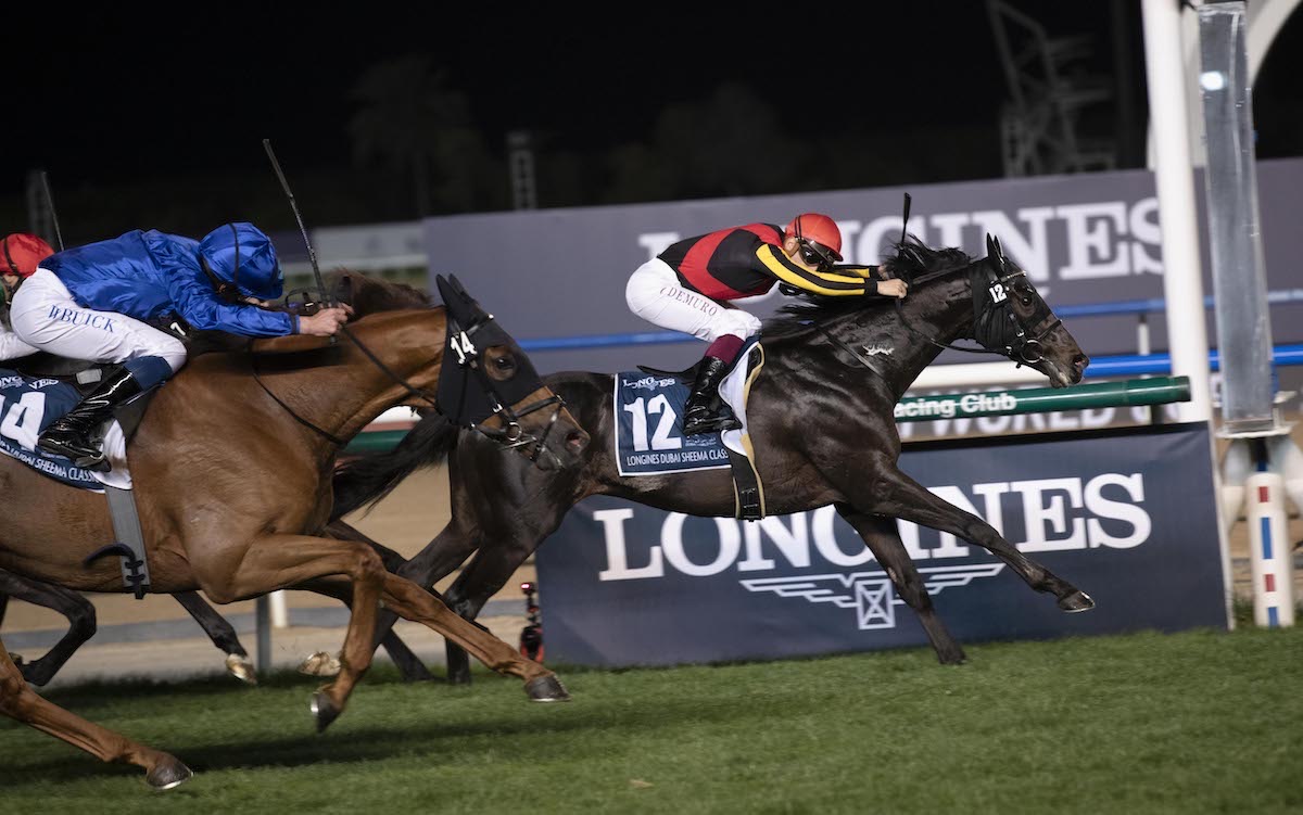 Shahryar beats Yibir to win the Dubai Sheema Classic in 2022. Photo: Dubai Racing Club