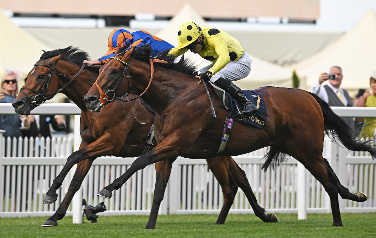 Rosallion (near side): set to stay in training as a four-year-old. Photo: Francesca Altoft / focusonracing.com