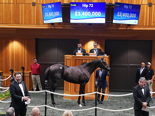 Top lot: the son of Not This Time knocked down for $3.4m. Photo: Fasig-Tipton