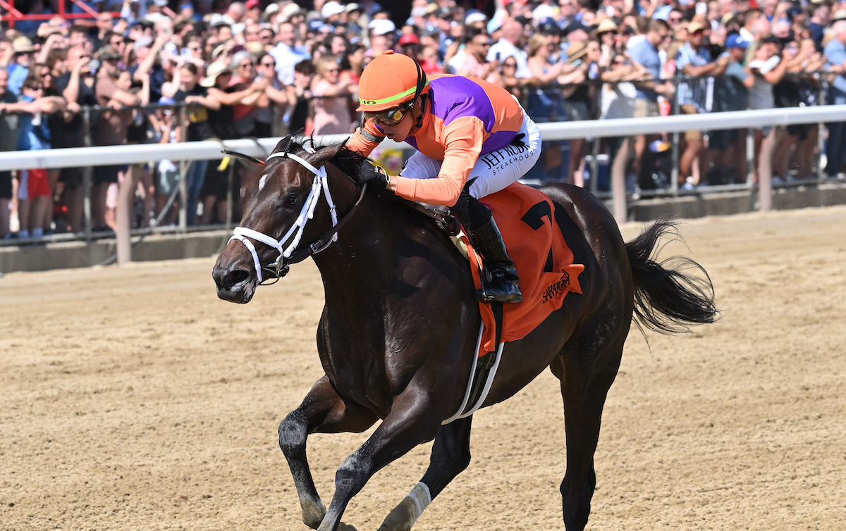 One to watch: Tenacious Leader wins a one-mile maiden under Irad Ortiz. Photo: NYRA/Coglianese