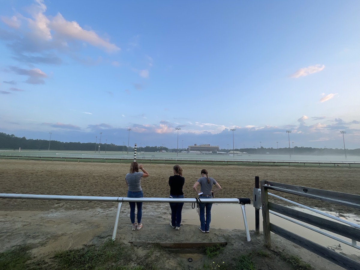 Morning glories: looking across to the track at Colonial Downs. Photo: Laura King