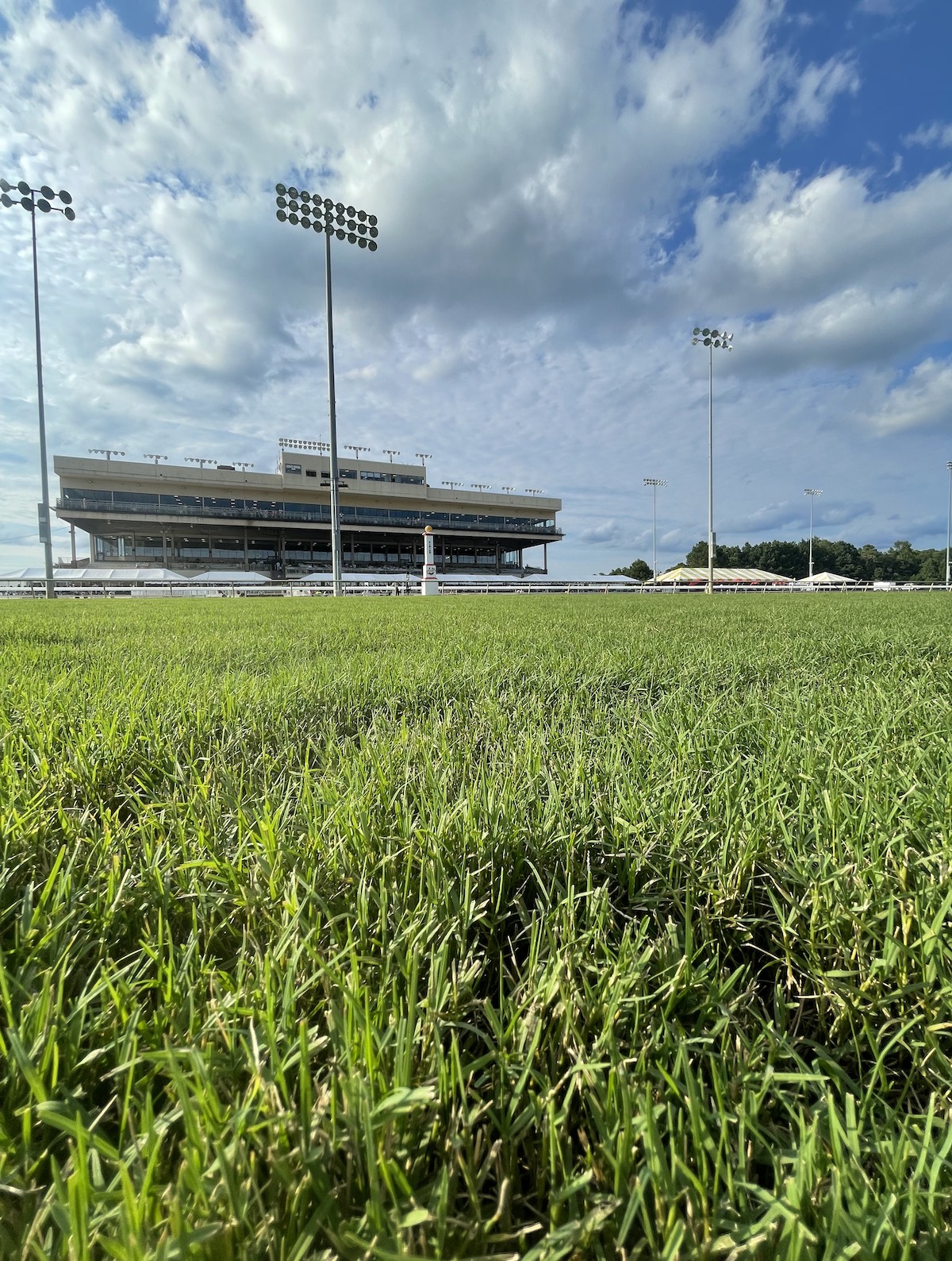 Where the grass is greener: ‘It's a beautiful turf course, this track is world-class,’ says William Buick. Photo: Laura King