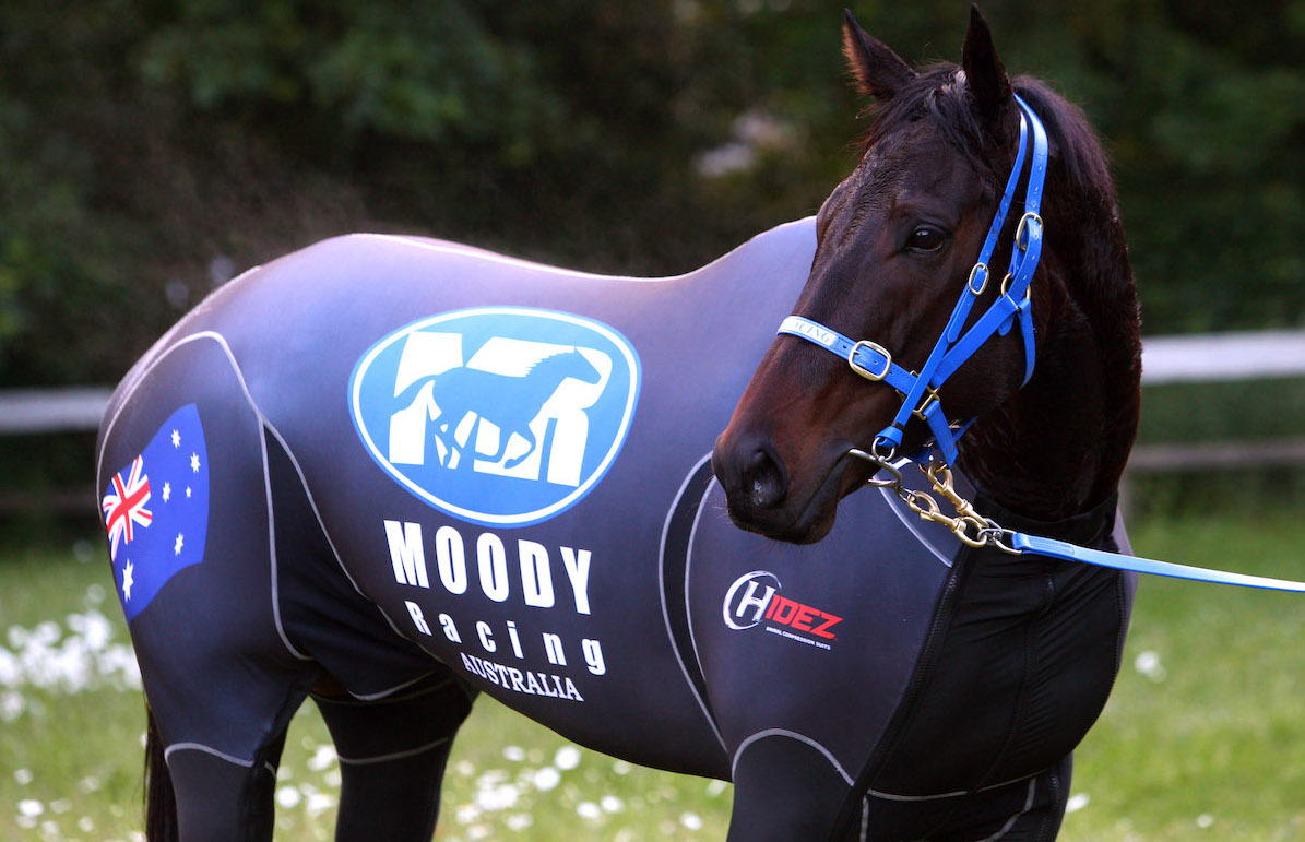 Black Caviar in her compression suit in Newmarket. Photo: Dan Abraham / focusonracing.com